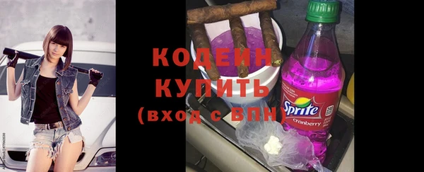 индика Зеленокумск