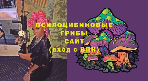 молекула духа Бронницы