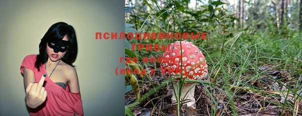 a pvp Богородицк