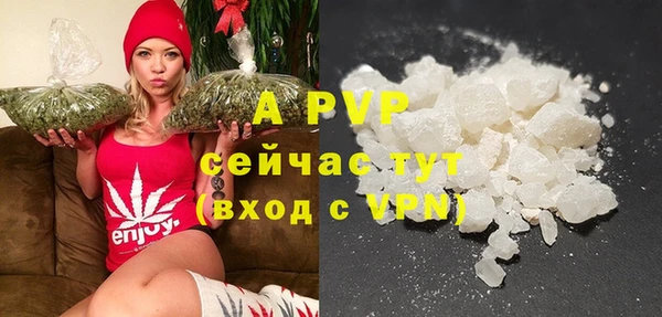 ECSTASY Инсар