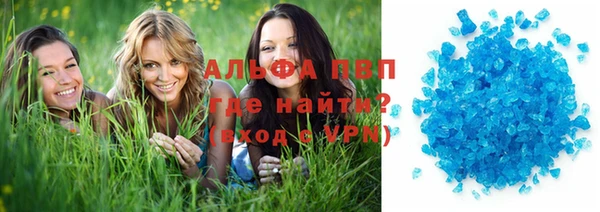 индика Зеленокумск