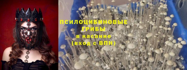 a pvp Богородицк