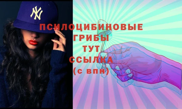 2c-b Зеленодольск